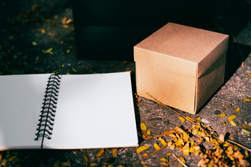 A gift box and a brown notebook lay on the concrete floor.
