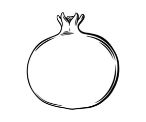 Pomegranate fruit side view. Colored exotic pomegranate fruit. Vector illustration isolated in white background