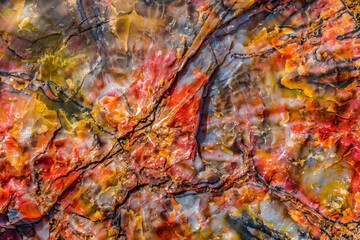 Obraz na płótnie Canvas Red, blue, orange petrified wood, Visitor Center, Petrified Forest National Park, Arizona