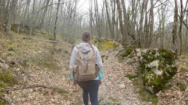 A woman traveler with a large hiking backpack walks along a forest trail and looks around. Enjoyment with nature. Back view.