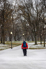 Fototapeta na wymiar USA, District of Columbia. A Lone person walking on the National Mall during a snowy afternoon.