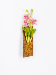 Fridge magnet in the shape of Orchid flower on a wooden board on a white background. Travel to tropical country concept. Top view flat lay, close up