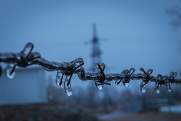 ice on barbed wire in front of the power tower