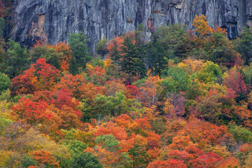 Fototapeta premium USA, New Hampshire, New England Crawford Notch Sate Park along highway 302 in Fall color
