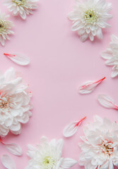 Frame made of flowers on pastel pink background.