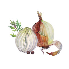 Watercolor unpeeled and slice onion black peppercorn and greenery dill isolated on white background. Vitamin golden brown vegetable for health. Hand drawn spicy food for soup salad, cookbook menu cafe