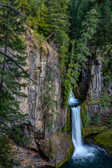 Toketee Falls runs over basalt columns in the Umpqua National Forest, Oregon, USA