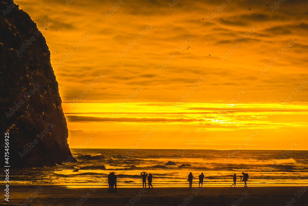 Sticker colorful sunset seabirds, haystack rock, canon beach, clatsop county, oregon. originally discovered 