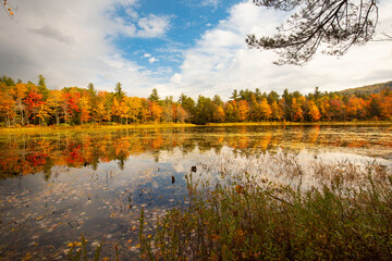 Brilliant fall foliage around Morey Pond in Wilmot, New Hampshire.