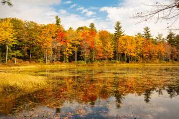 Brilliant fall foliage around Morey Pond in Wilmot, New Hampshire.