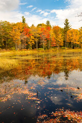 Brilliant fall foliage around Morey Pond in Wilmot, New Hampshire.