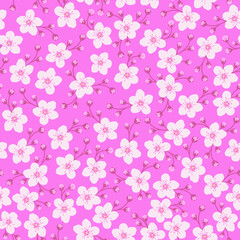 Cherry Blossom pattern.  Sakura seamless pattern. kimono pattern. Japanese pattern