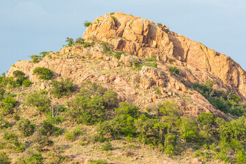 Fototapeta na wymiar Castroville, Texas, USA. Rocky hill in the Texas Hill Country.
