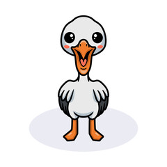 Cute pelican bird cartoon standing
