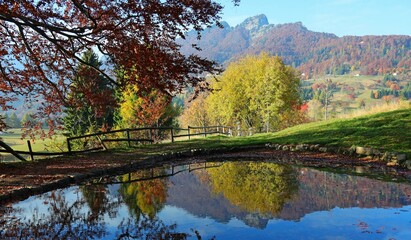 natural environment with the little alpine lake and the reflection of the mountain