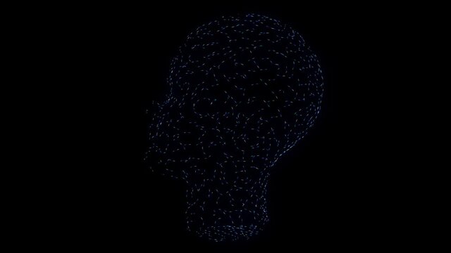 Glowing blue lines formation Head. Futuristic hologram 3d model.