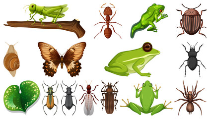 Different insects collection isolated on white background