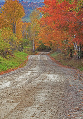 Fototapeta na wymiar USA, New England, Vermont tree-lined roadway in Autumns Fall colors.