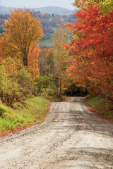 USA, New England, Vermont tree-lined roadway in Autumns Fall colors.
