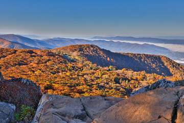 USA, Virginia, Shenandoah National Park, fall color in the park