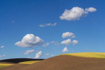 USA, Washington, Palouse. Contrast of wheat field and barren land.