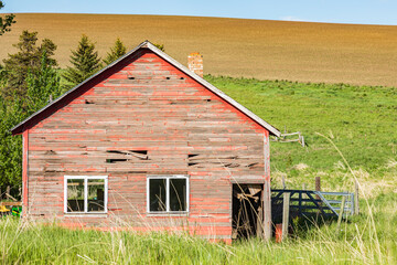 Obraz premium Pullman, Washington State, USA. A red weathered abandoned house in the Palouse hills. (Editorial Use Only)