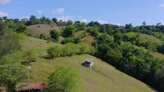 Caimito Bilder Durchsuchen 275 Archivfotos, und Videos