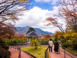 Park with autumn leaves (Gora, Hakone, Kanagawa, Japan)