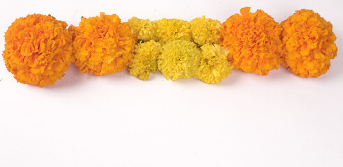 Yellow flowers of Marigold isolated on white background.