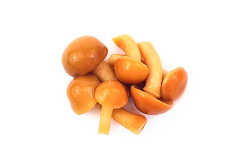 Marinated honey fungus mushroom isolated on white with clipping path. Heap, top front view.