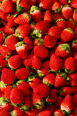 Background full with beautiful strawberry fruit , front view and blank space for product advertising 