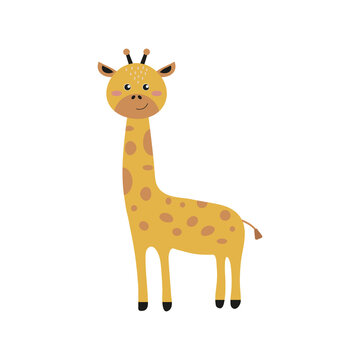 vector illustration of a giraffe in a flat style, cute childish drawing of a giraffe. cartoon portrait of african tall animal on white isolated background. cartoon beast hero