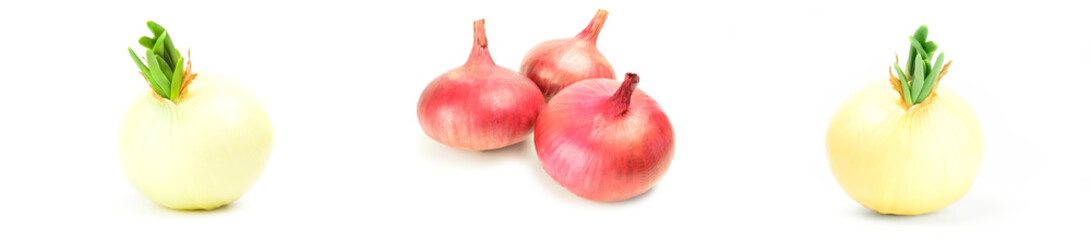 Group of Bulb of onion isolated on a white background with clipping path