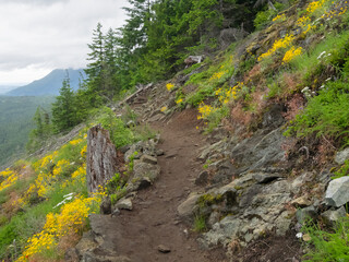 Washington State, Central Cascades, Dirty Harry's Peak Trail