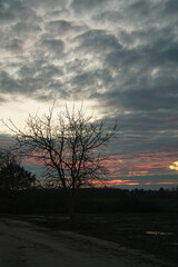 Setting sun on the outskirts of Berlin. The sky seems to burn