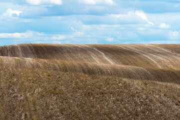 Tracks on wheat field in eastern Washington State, USA