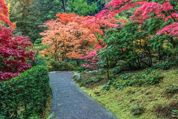 Fototapeta na wymiar Washington State, Seattle. Autumn color, Japanese Garden