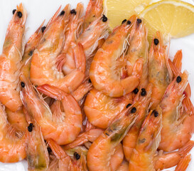 seafood shrimp close up