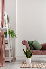 Pink armchair and shelving unit with houseplants near light wall