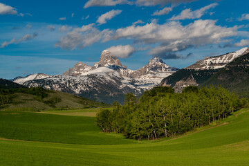 Agricultural field in Spring and Teton Mountains from the west
