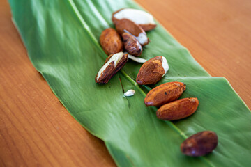 Fresh ngali nuts (galip nuts) from the Solomon Islands. - obrazy, fototapety, plakaty