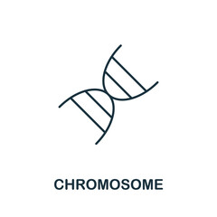 Chromosome icon. Line element from bioengineering collection. Linear Chromosome icon sign for web design, infographics and more.