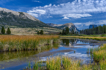 USA, Wyoming. White Rock Mountain and Squaretop Peak above Green River wetland, Wind River Mountains
