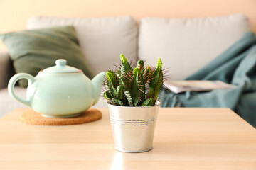 Green cactus and teapot on table in room