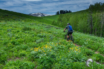 USA, Wyoming. Man mountain biking on singletrack trail