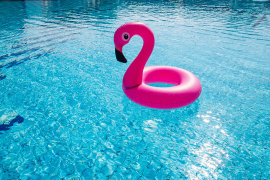 Flamingo icon. Pink inflatable flamingo in pool water for summer beach background. Minimal summer concept.