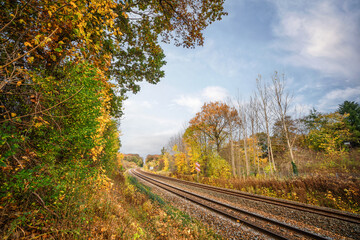 Naklejka na ściany i meble Railroad going through an autumn colored landscape
