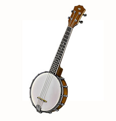 banjo, stringed plucked musical instrument - obrazy, fototapety, plakaty