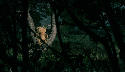 El oso turista. / The tourist bear.