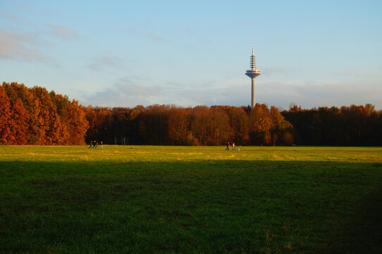 Autumn atmosphere in Niddapark, Frankfurt.